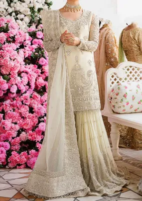 Akbar Aslam Nahla Pakistani Luxury Chiffon Dress