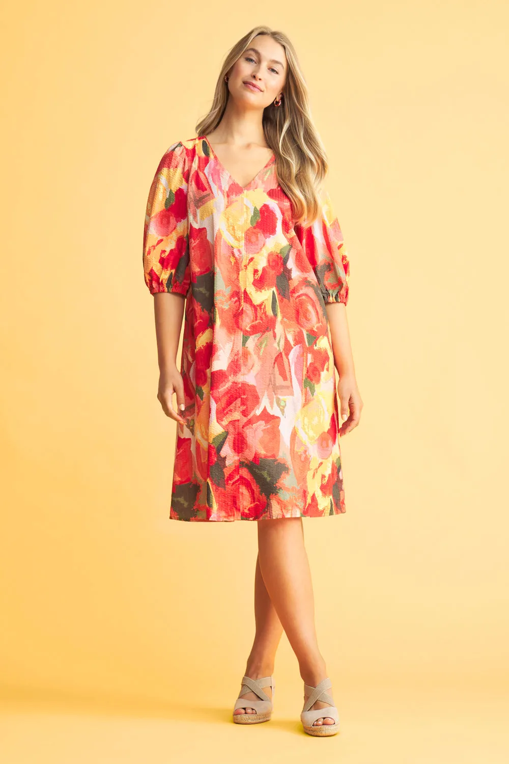 Printed Swing Dress